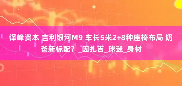泽峰资本 吉利银河M9 车长5米2+8种座椅布局 奶爸新标配？_因扎吉_球迷_身材