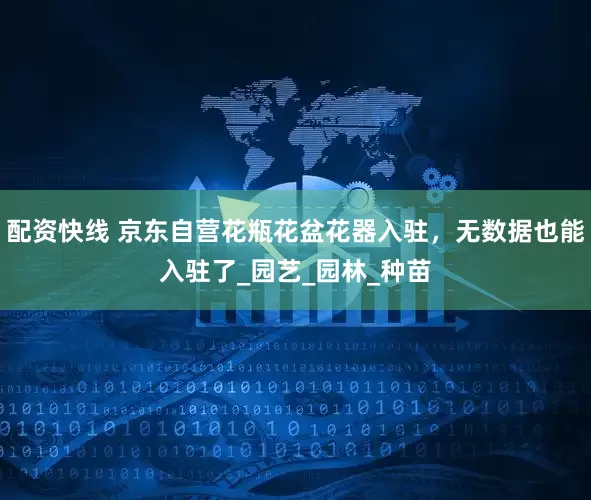 配资快线 京东自营花瓶花盆花器入驻，无数据也能入驻了_园艺_园林_种苗