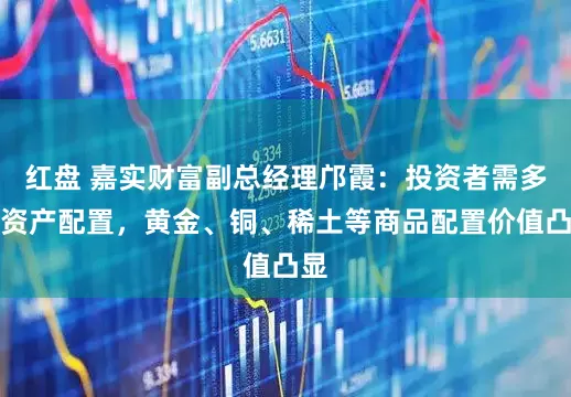 红盘 嘉实财富副总经理邝霞：投资者需多元资产配置，黄金、铜、稀土等商品配置价值凸显